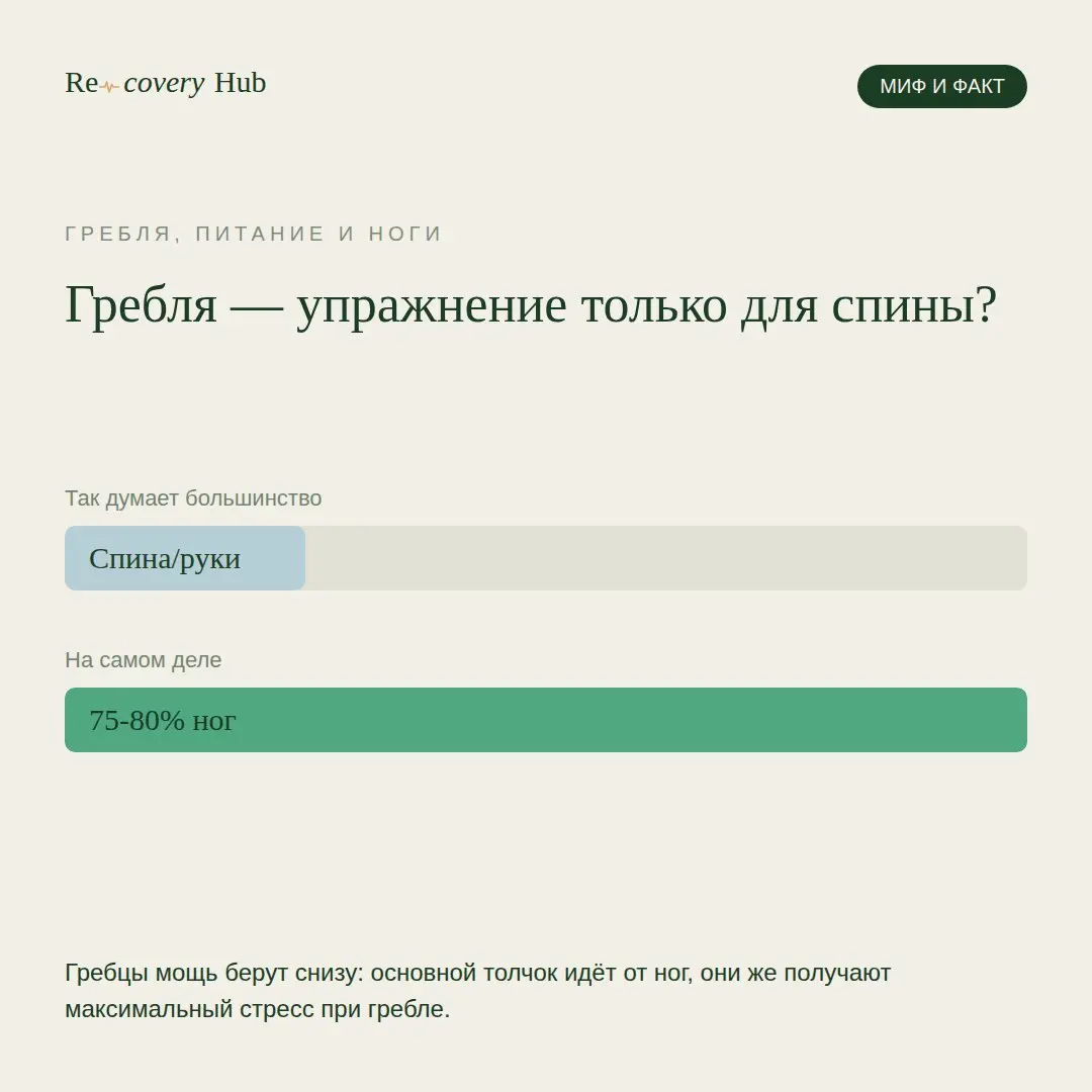 Думаешь, гребля — это спорт для спины и рук? На самом деле ноги тянут половину нагрузки. Научные данные говорят чётко: 75–80% мощности одного гребка исходит именно от нижних конечностей | Сетка — социальная сеть от hh.ru