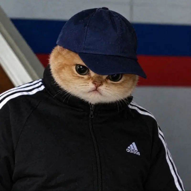 Дмитрий Жестков