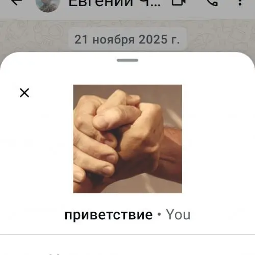Евгений Пронин