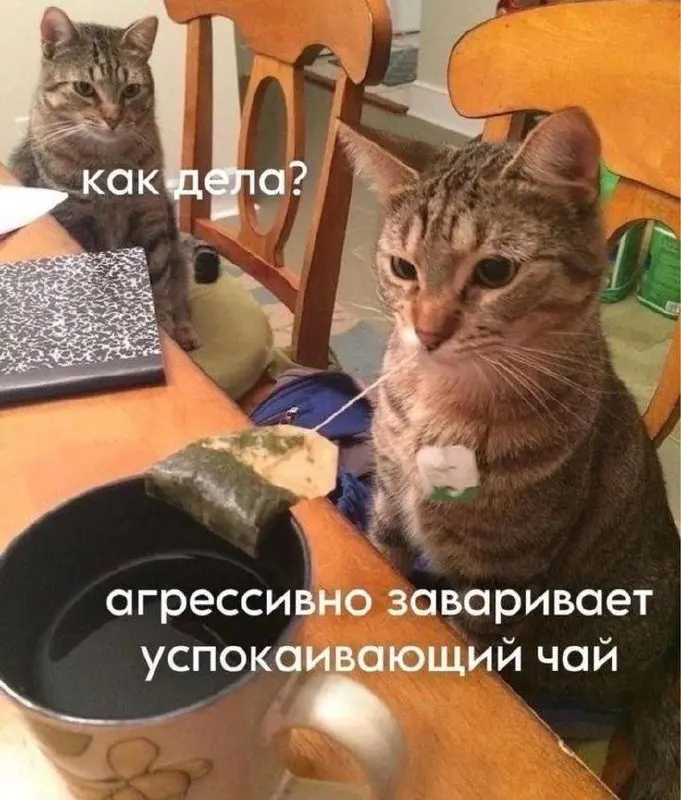 Ох уж этот конец месяца🚀 | Сетка — социальная сеть от hh.ru