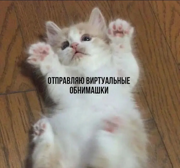 Если на отклики нет ответа: Значит, ты делаешь что-то не так | Сетка — социальная сеть от hh.ru