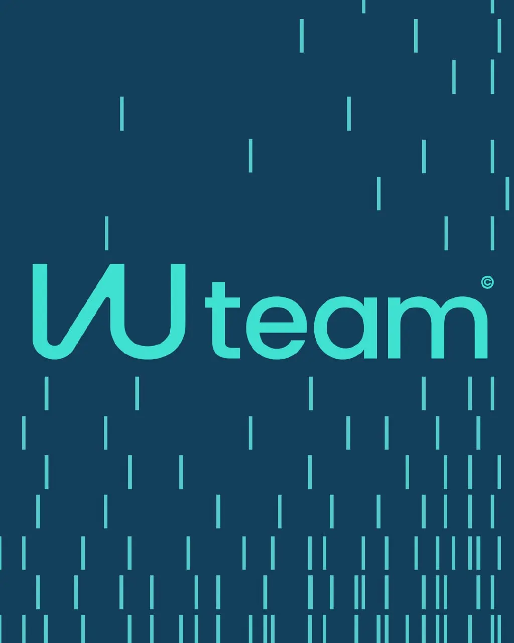 VU team — небольшая, но многопрофильная IT-команда,
которая помогает зарабатывать бизнесам больше,
путем оптимизации и улучшения бизнес-процессов | Сетка — социальная сеть от hh.ru
