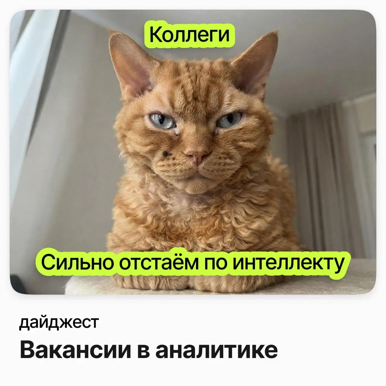 💼💼💼Вакансии в аналитике
Ведущий системный аналитик (ПГС) / РТЛабс
Зарплата: до 473 000 ₽ /на руки
Подробнее
Системный аналитик Senior Платёжные сервисы / Outlines Technologies
Зарплата: от 374 000 ₽ /... | Сетка — социальная сеть от hh.ru