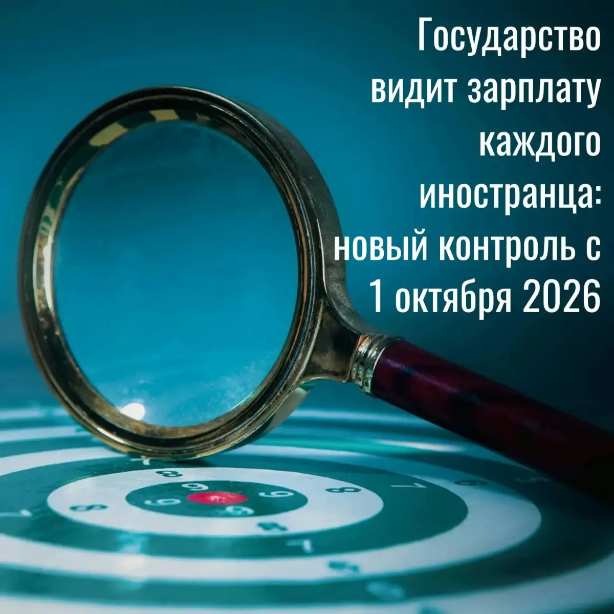🌍 Государство видит зарплату каждого иностранца | Сетка — социальная сеть от hh.ru