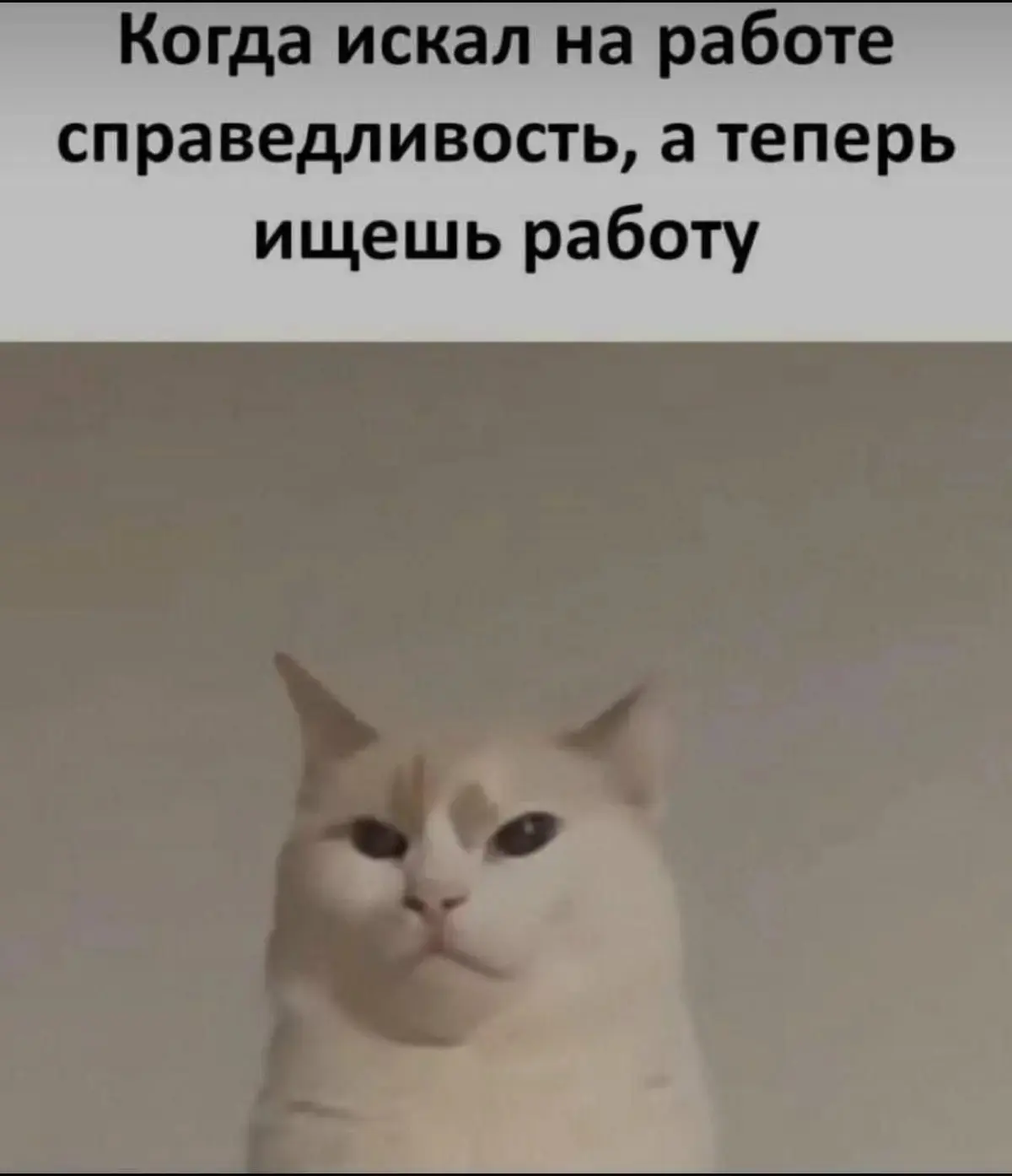 ??? | Сетка — социальная сеть от hh.ru