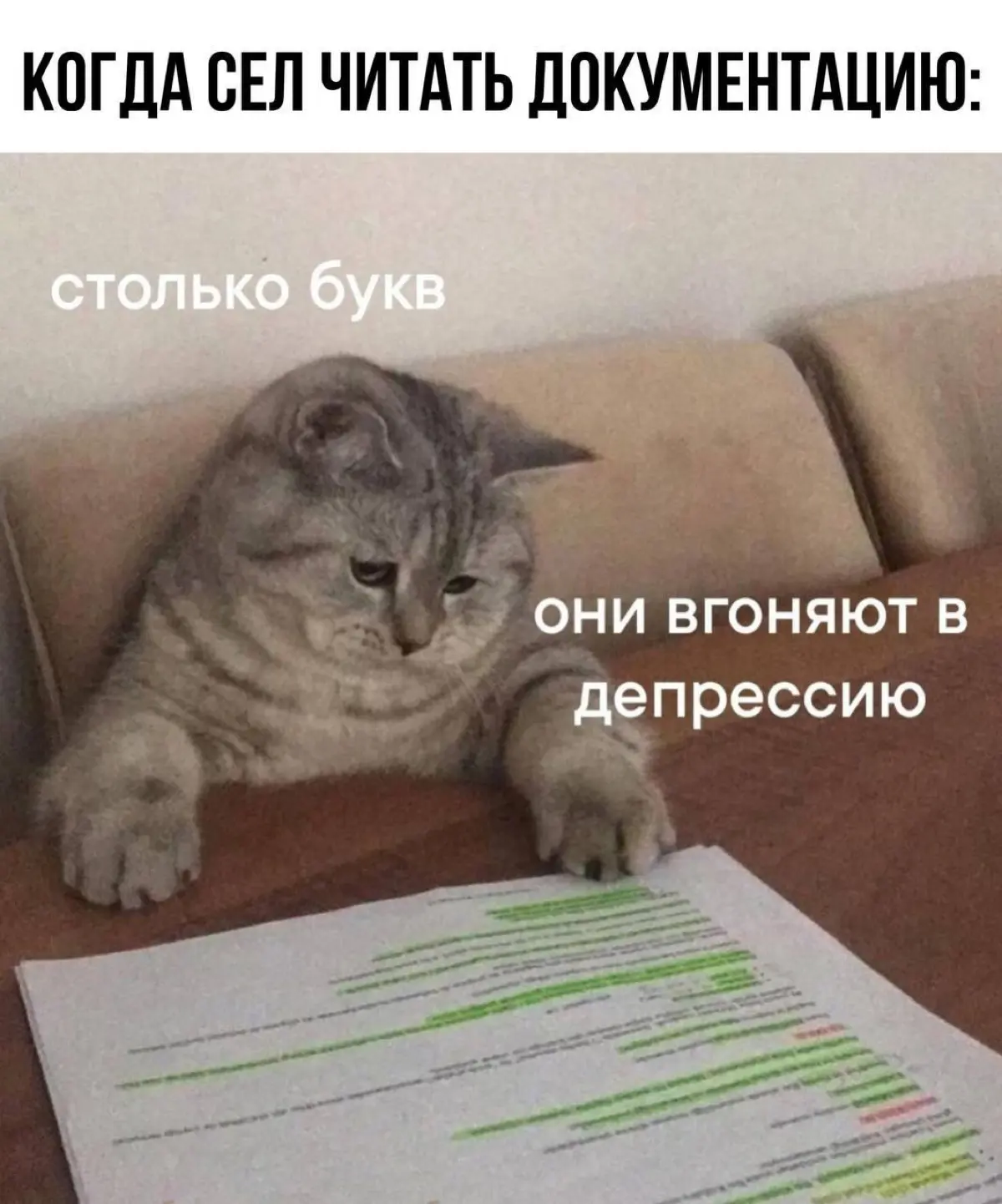 Документация? Да ну её... А потом сидим и гадаем🔮 | Сетка — социальная сеть от hh.ru