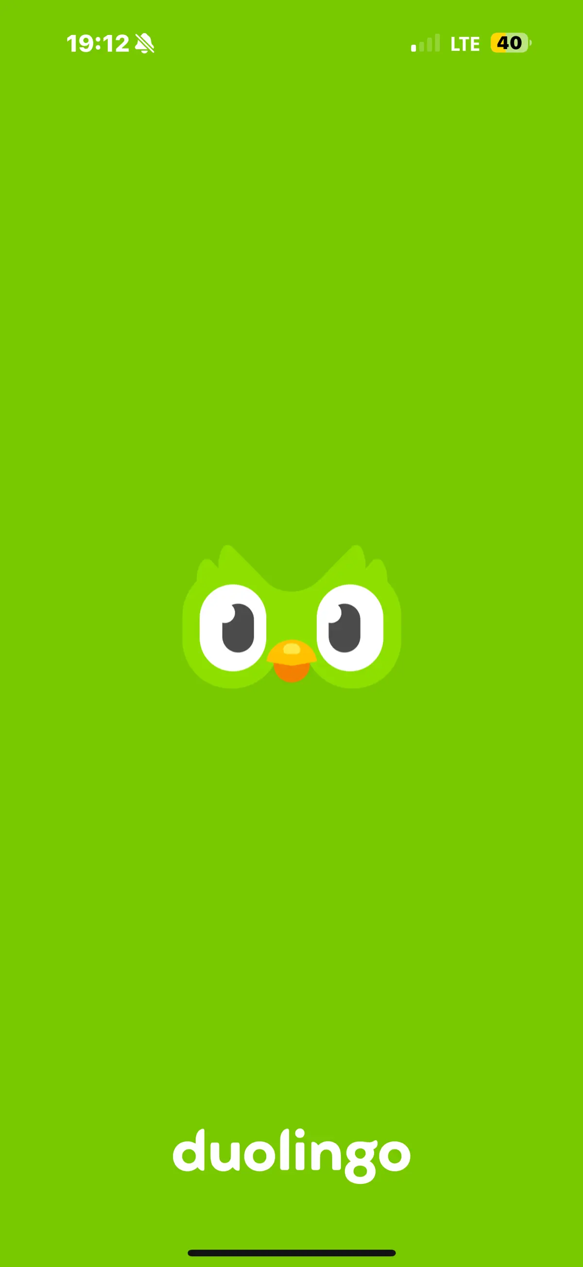 Вечера с Duolingo 🦉 | Сетка — социальная сеть от hh.ru