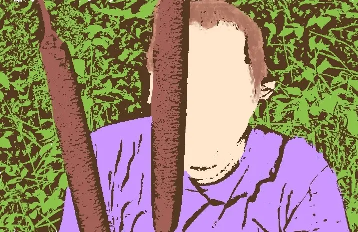 У одного стажировка, у другого оффер. А у меня — камыш | Сетка — социальная сеть от hh.ru