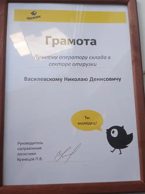 Network member avatar