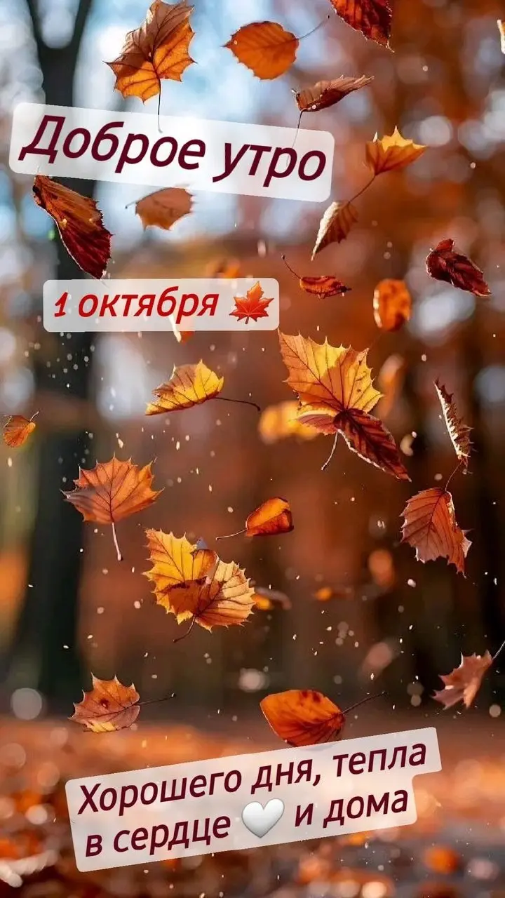 НУ ЧТО, ОКТЯБРЬ. УДИВИ МЕНЯ 😁
Первое октября.
До конца года осталось три месяца | Сетка — социальная сеть от hh.ru