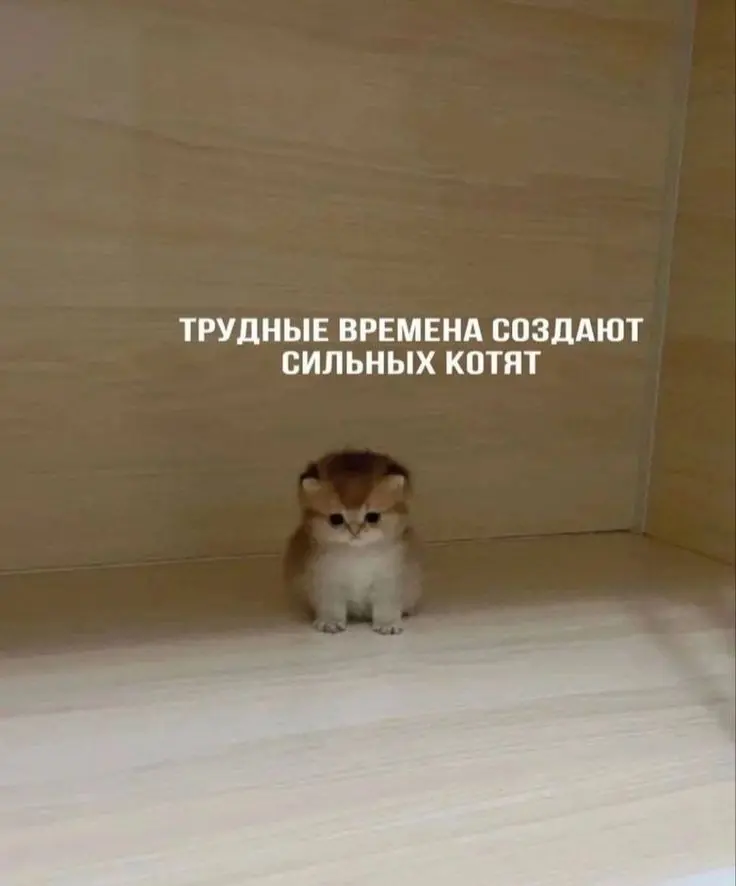 Итоги этих дней | Сетка — социальная сеть от hh.ru
