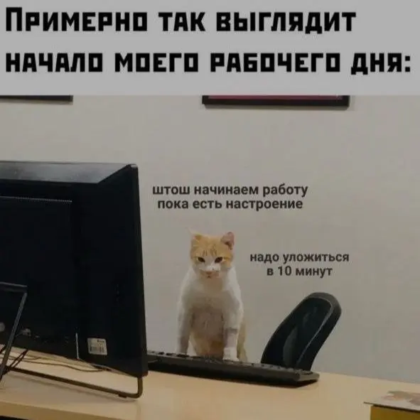 Рабочее настроение оно такое 😂
БЛОГ В ТГ / БЛОГ В MAX
#Юмор #Коты
В этом посте были ссылки, но мы их удалили по правилам Сетки | Сетка — социальная сеть от hh.ru