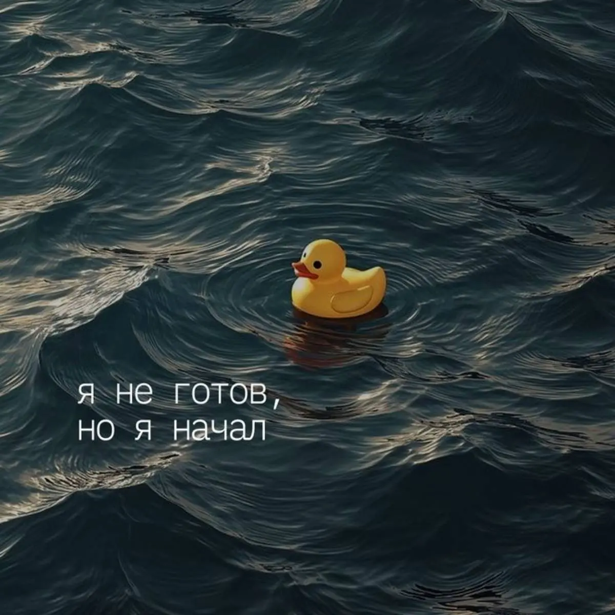 Анастасия Борисова