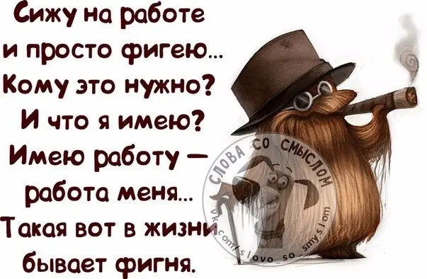 🎪 Профессиональный суицид за чужой счёт | Сетка — социальная сеть от hh.ru