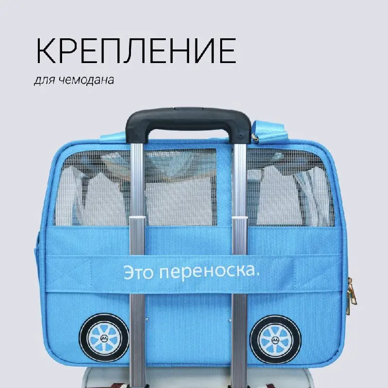 Московский транспорт для котиков и пёсиков 🤩
#котизаи зацените мимимишную новинку в #четырелапы
Это нам надо!!! 😍
https://4lapy | Сетка — социальная сеть от hh.ru