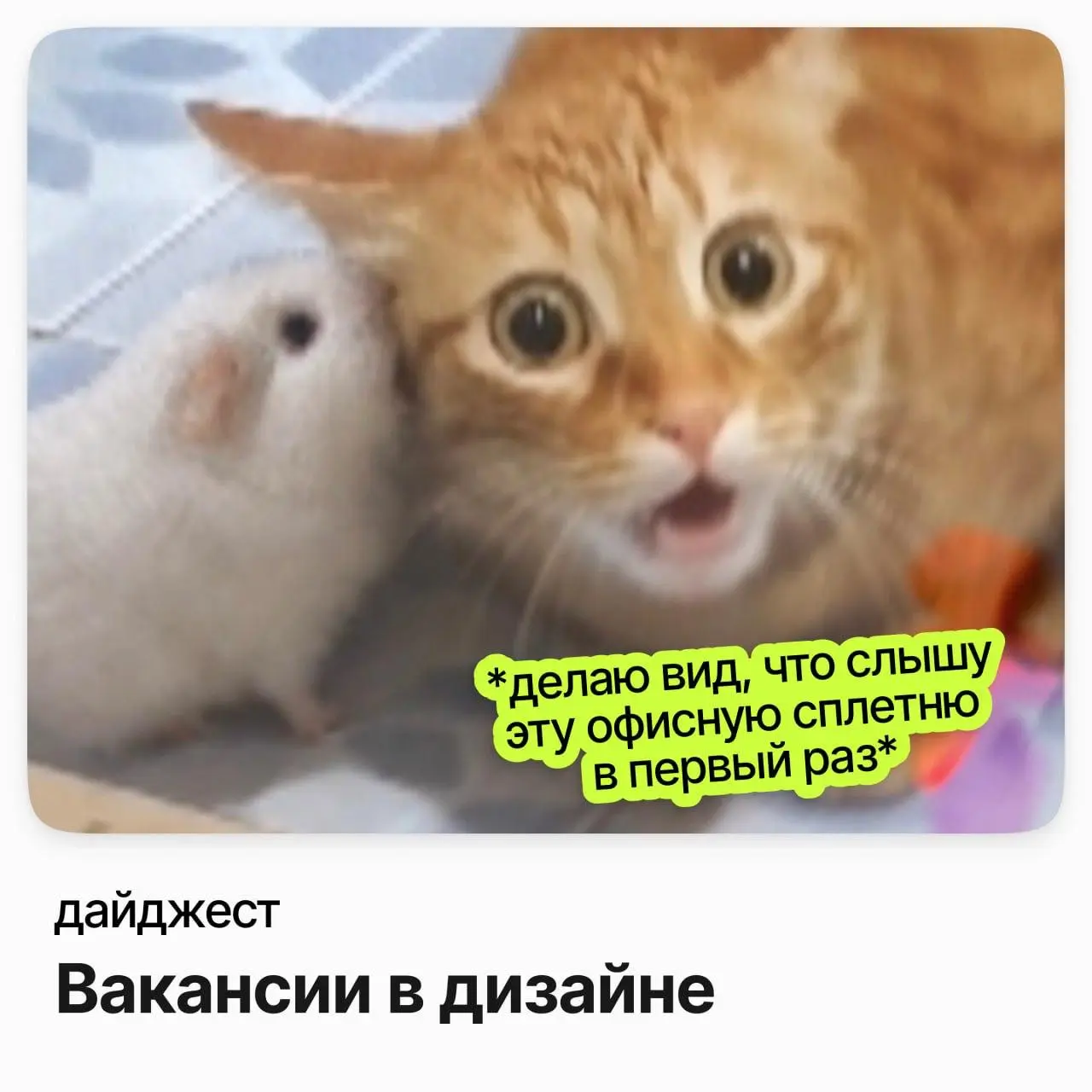 💼💼💼Вакансии в дизайне
Ведущий геймдизайнер / Lesta Games
Зарплата: до 467 000 ₽ /на руки
Подробнее
Старший продуктовый дизайнер / Tilda Publishing
Зарплата: от 288 000 ₽ /на руки
Подробнее
Дизайнер уп... | Сетка — социальная сеть от hh.ru