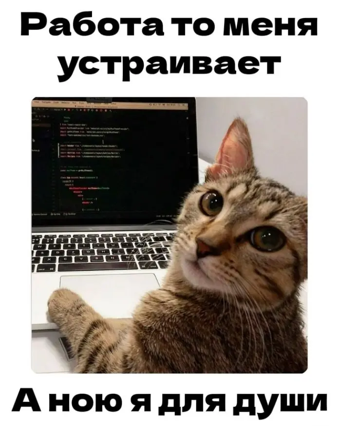 Как выглядят люди у которых есть работа с хорошей ЗП в 2К26 | Сетка — социальная сеть от hh.ru