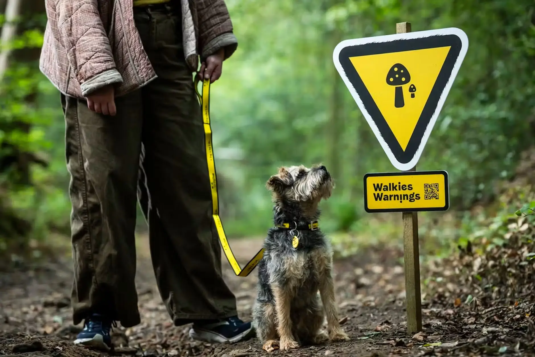 🐕‍🦺 Знаки ПДД для собак
Британская благотворительная организация Dogs Trust установила на прогулочных тропах Саут-Даунса предупреждающие знаки на необычной высоте — примерно на уровне собачьего носа | Сетка — социальная сеть от hh.ru