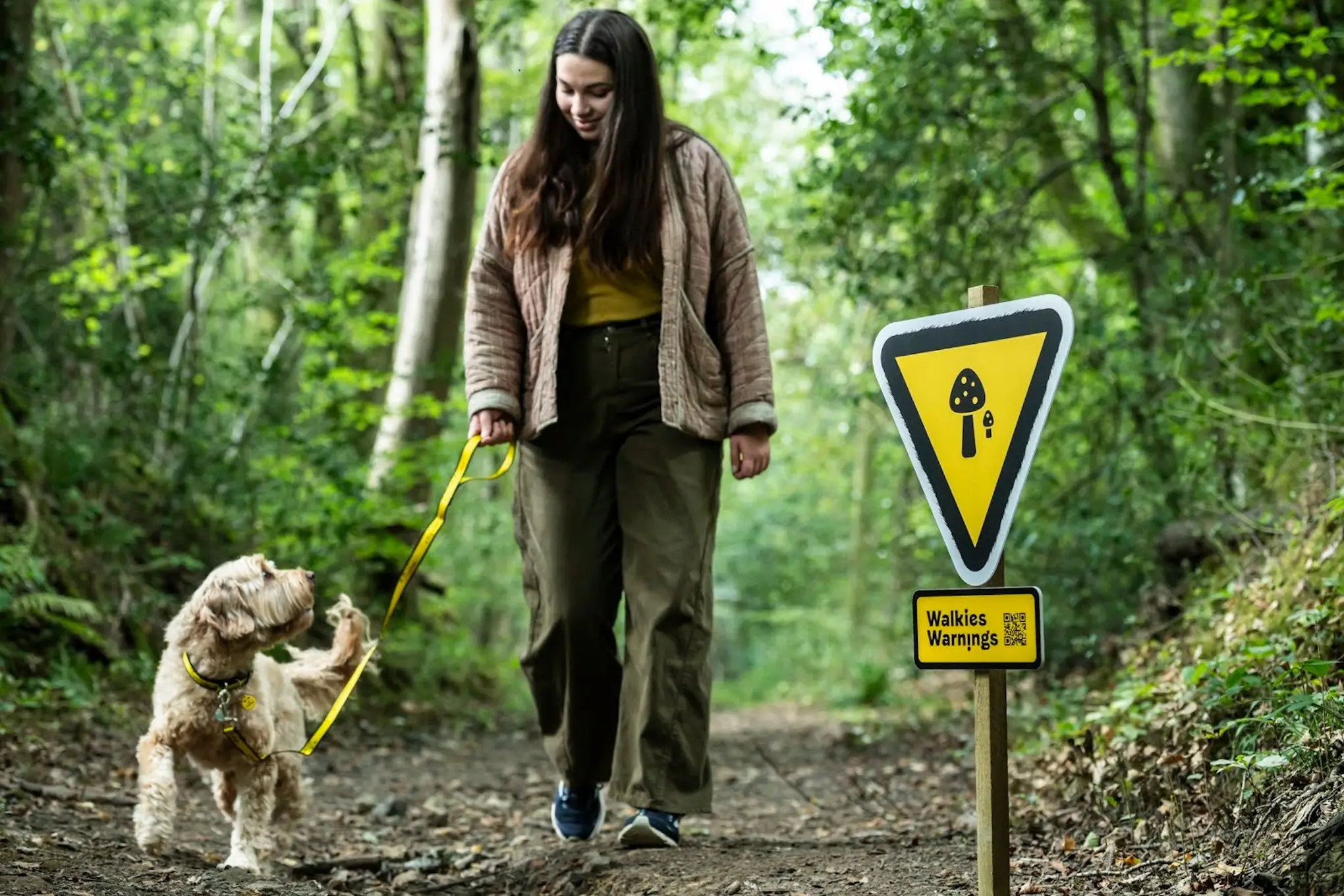🐕‍🦺 Знаки ПДД для собак
Британская благотворительная организация Dogs Trust установила на прогулочных тропах Саут-Даунса предупреждающие знаки на необычной высоте — примерно на уровне собачьего носа | Сетка — социальная сеть от hh.ru