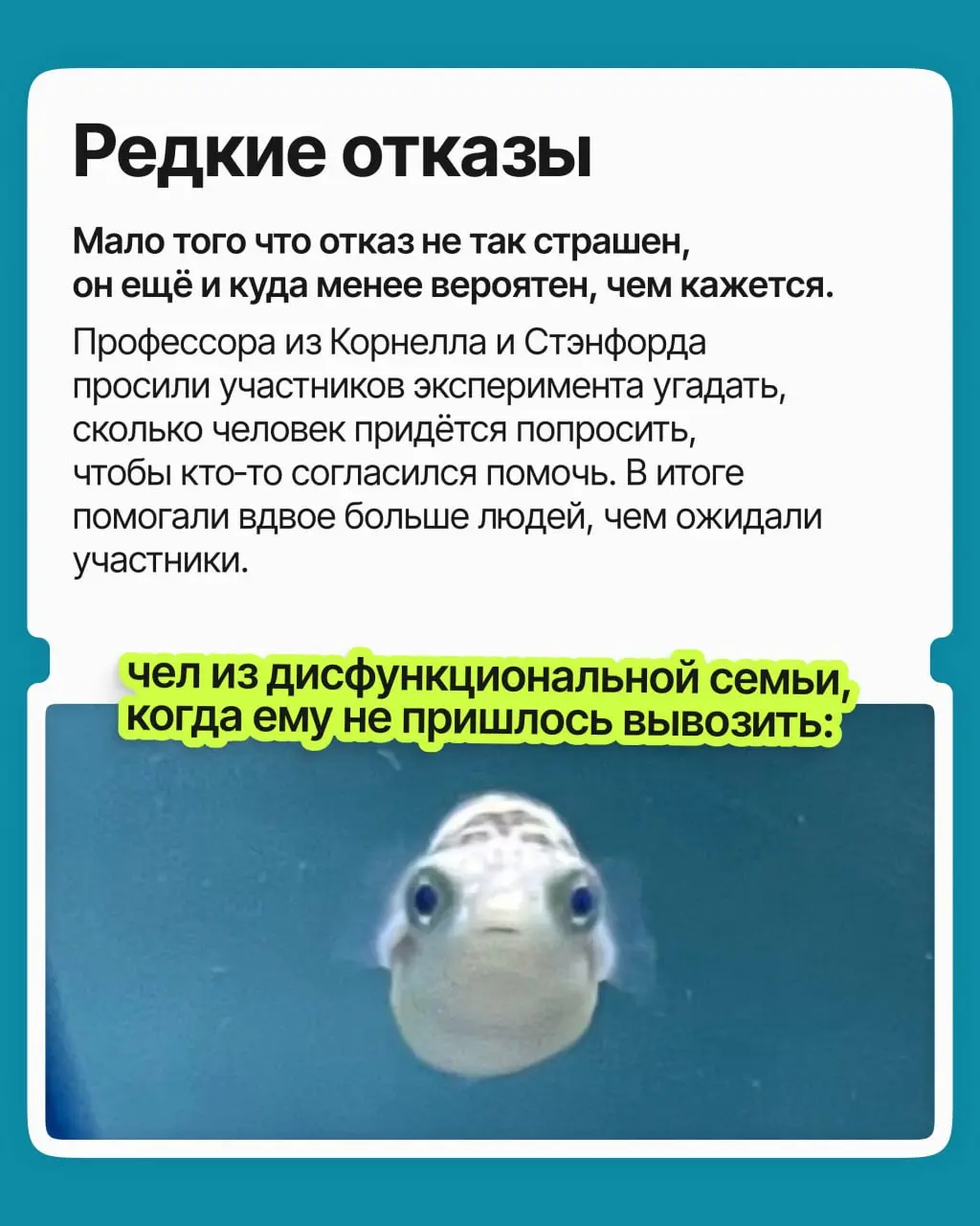 Вы не откликнулись на вакансию, не попросили прибавку, не написали знакомому из компании мечты: к чему рисковать?
На самом деле вы избегали боли отказа | Сетка — социальная сеть от hh.ru