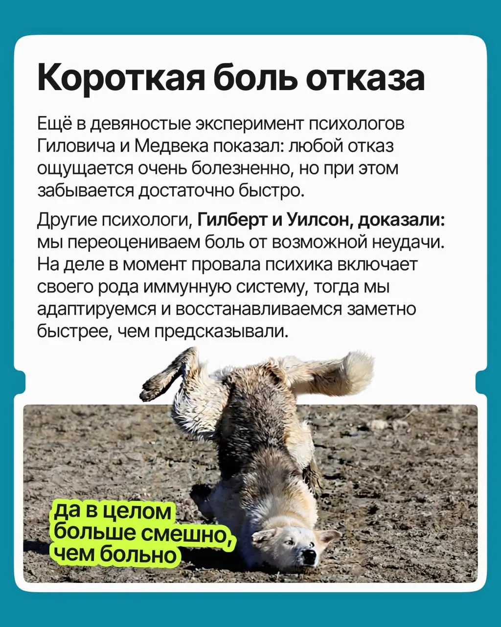 Вы не откликнулись на вакансию, не попросили прибавку, не написали знакомому из компании мечты: к чему рисковать?
На самом деле вы избегали боли отказа | Сетка — социальная сеть от hh.ru