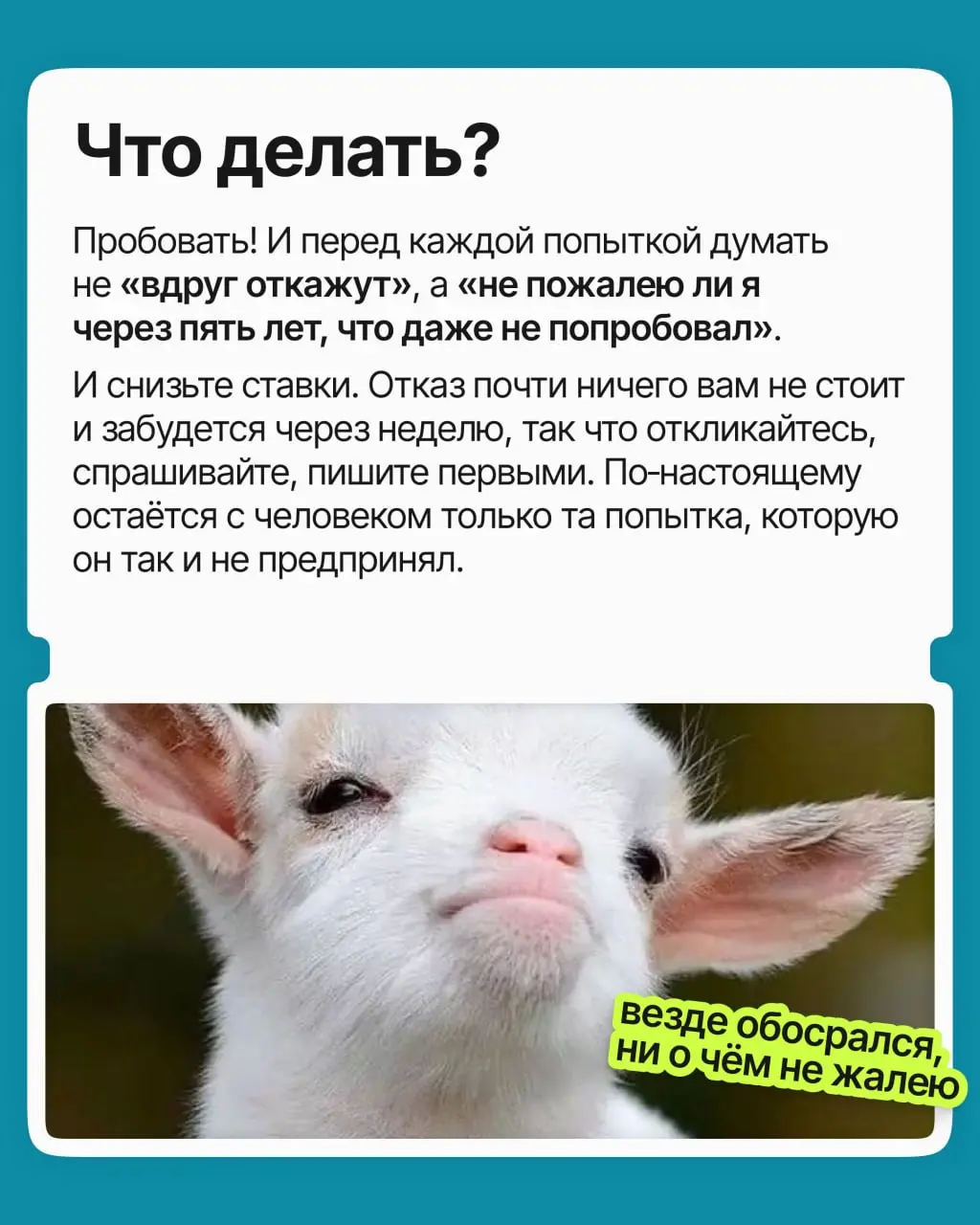 Вы не откликнулись на вакансию, не попросили прибавку, не написали знакомому из компании мечты: к чему рисковать?
На самом деле вы избегали боли отказа | Сетка — социальная сеть от hh.ru