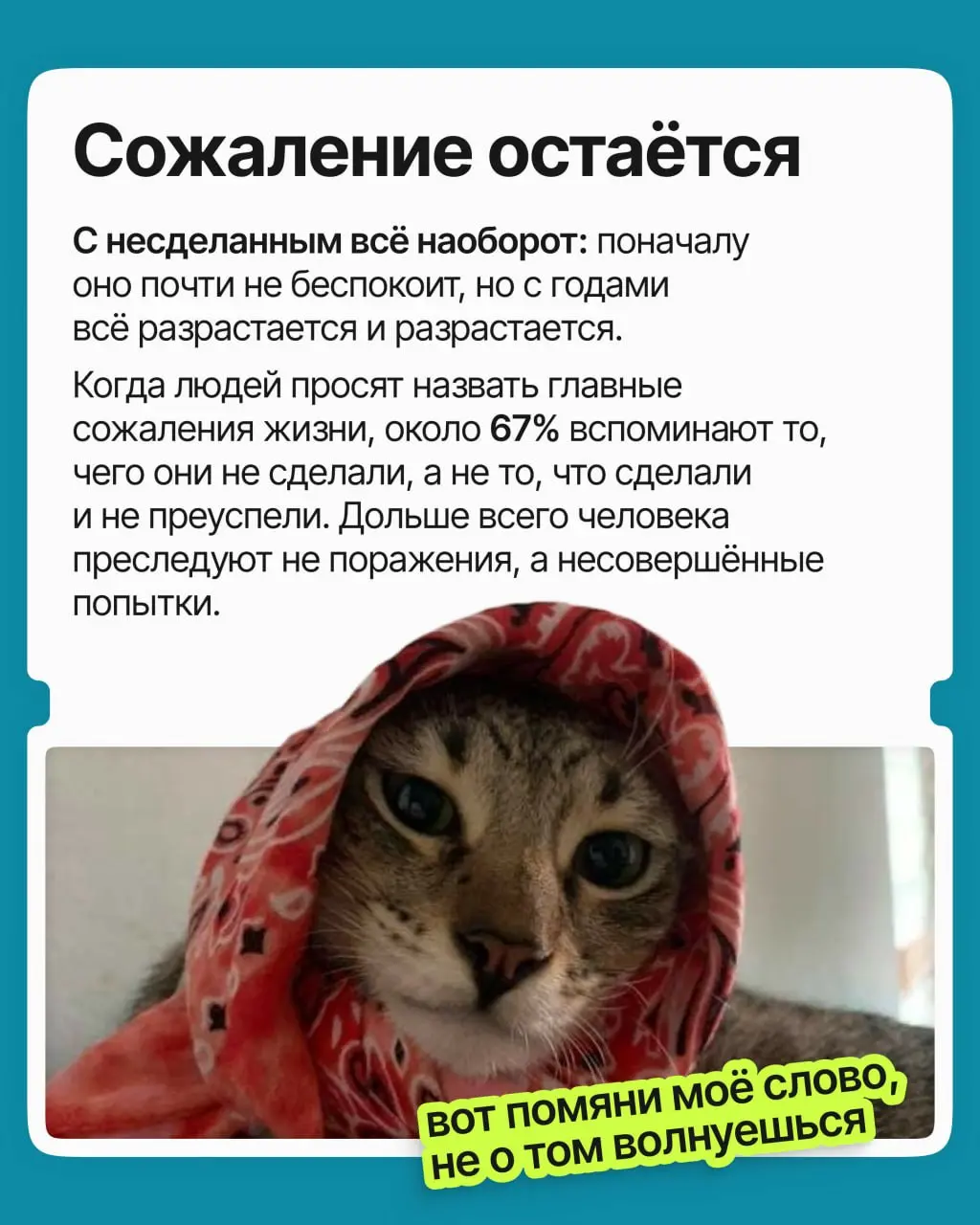 Вы не откликнулись на вакансию, не попросили прибавку, не написали знакомому из компании мечты: к чему рисковать?
На самом деле вы избегали боли отказа | Сетка — социальная сеть от hh.ru
