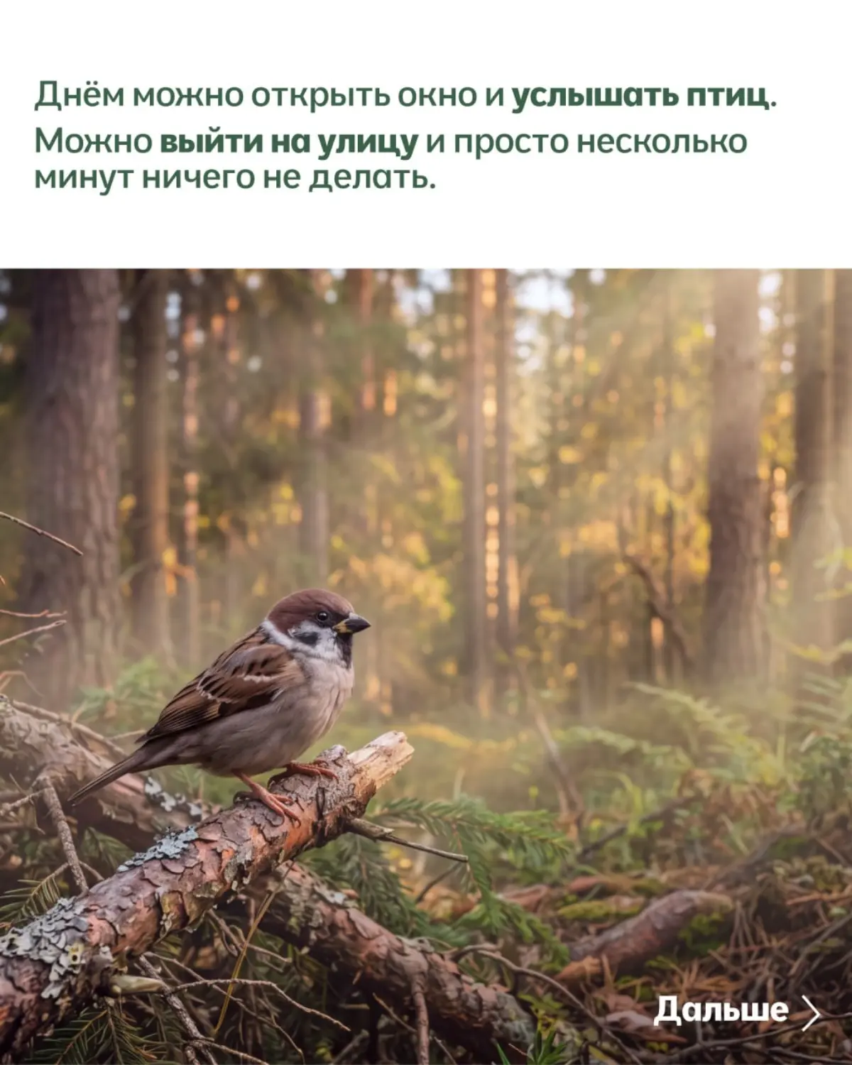 Загородный дом можно показывать не только через фасад, планировку и количество квадратных метров.
Можно показать, что человек получает вместе с домом | Сетка — социальная сеть от hh.ru