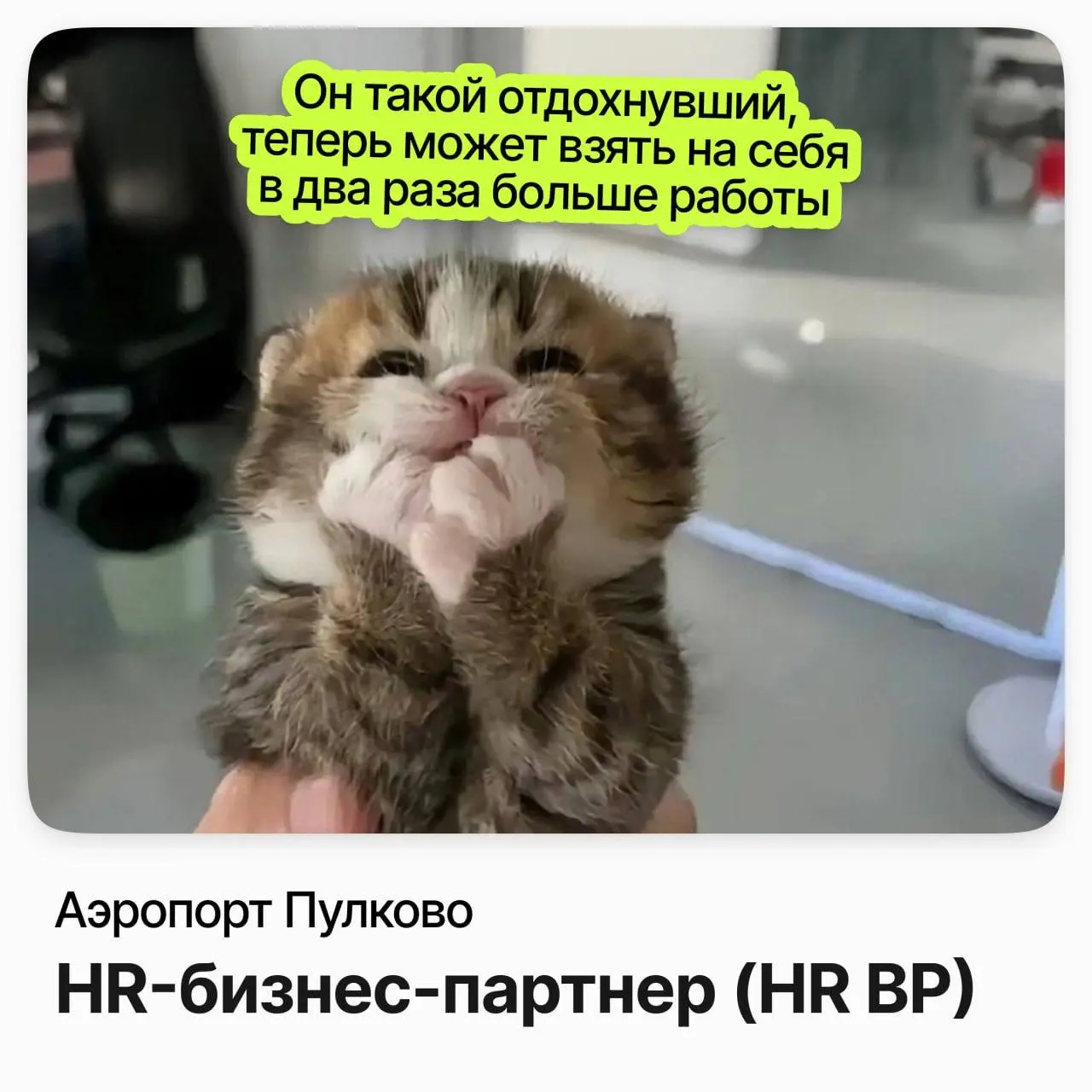 👥 HR-бизнес-партнер (HR BP) / Аэропорт Пулково
Аэропорт Пулково — главный аэропорт Петербурга и один из крупнейших аэропортов России | Сетка — социальная сеть от hh.ru