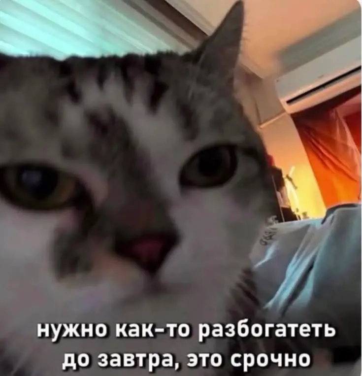 Вы любите попадать стрелой в стрелу? | Сетка — социальная сеть от hh.ru