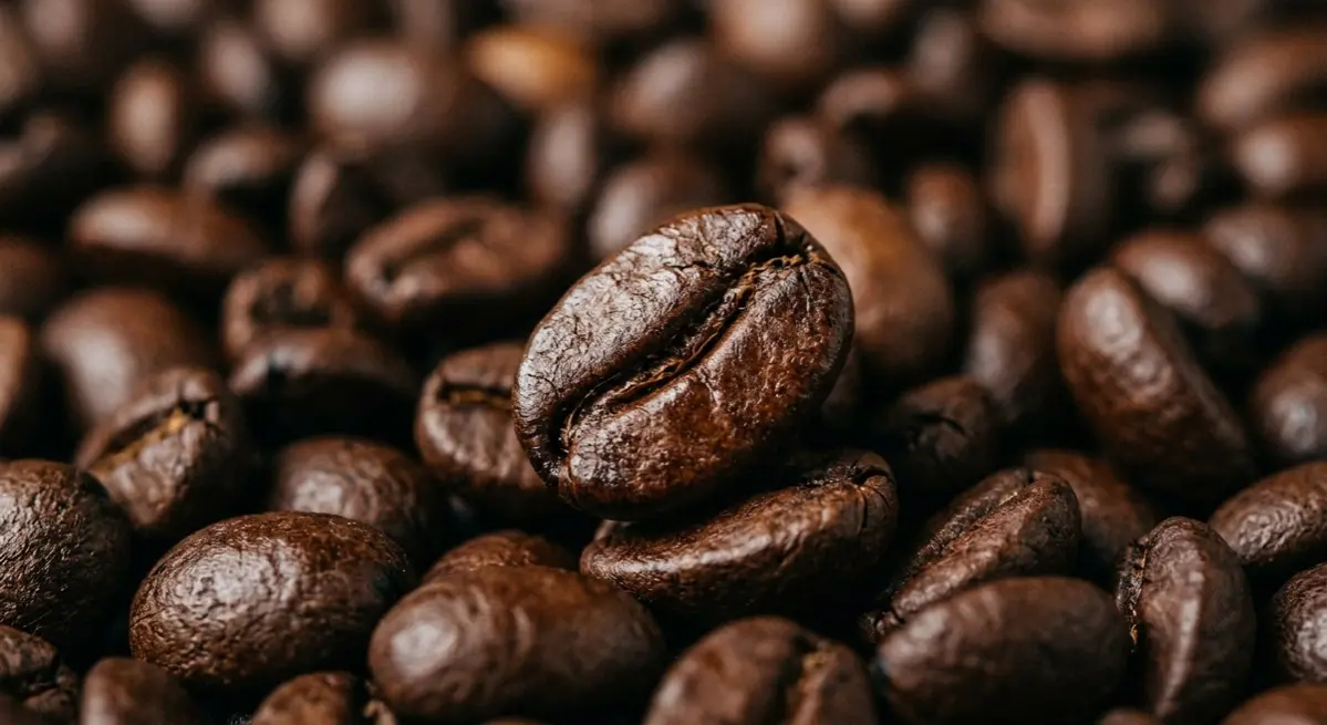 ☕️ Сегодня, 1 октября, отмечают Международный день кофе!
Кофейные зёрна на самом деле не зёрна, а семена плодов кофейного дерева — их часто называют «кофейными ягодами» | Сетка — социальная сеть от hh.ru
