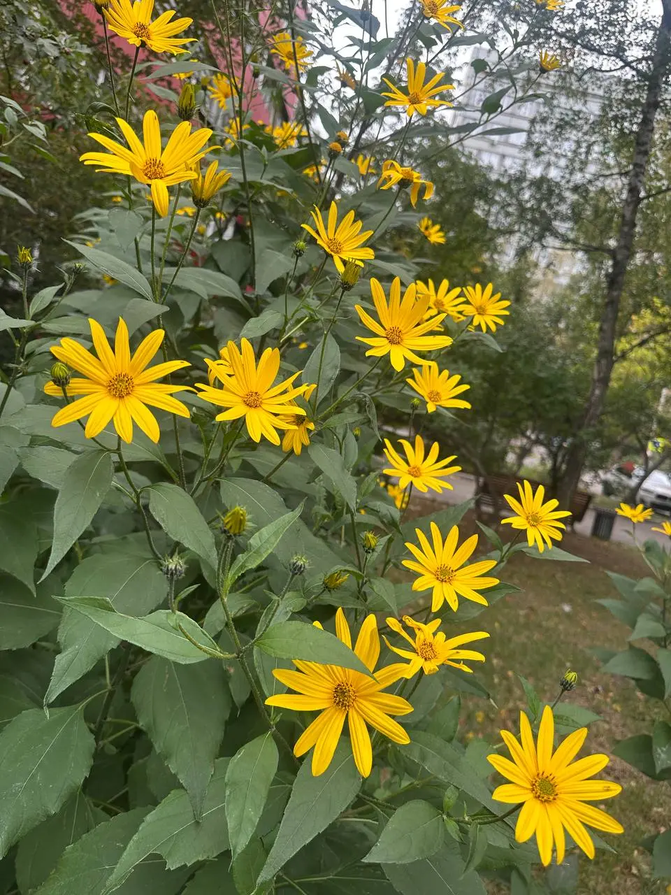 ☀️Утро. Живём.
Хорошее утро — это не то, где всё идёт по плану. Это то, где вы замечаете хотя бы один момент, который стоило заметить.
🌱 | Сетка — социальная сеть от hh.ru