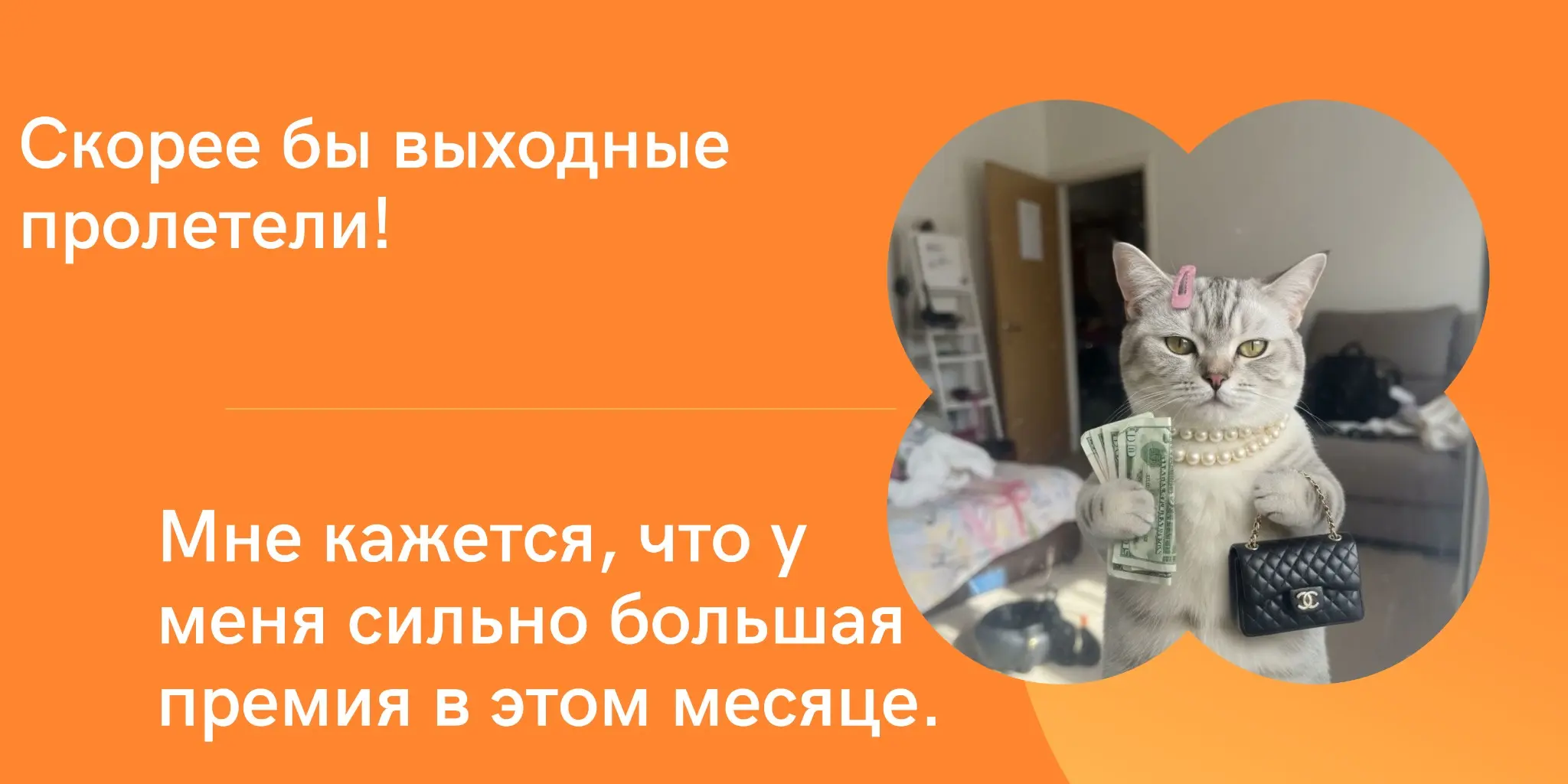 Фразы, которые вы никогда не услышите в нашем HR-отделе | Сетка — социальная сеть от hh.ru