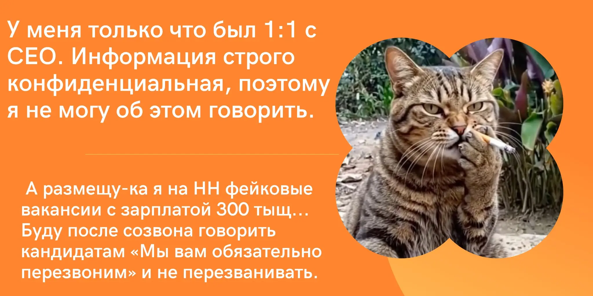 Фразы, которые вы никогда не услышите в нашем HR-отделе | Сетка — социальная сеть от hh.ru