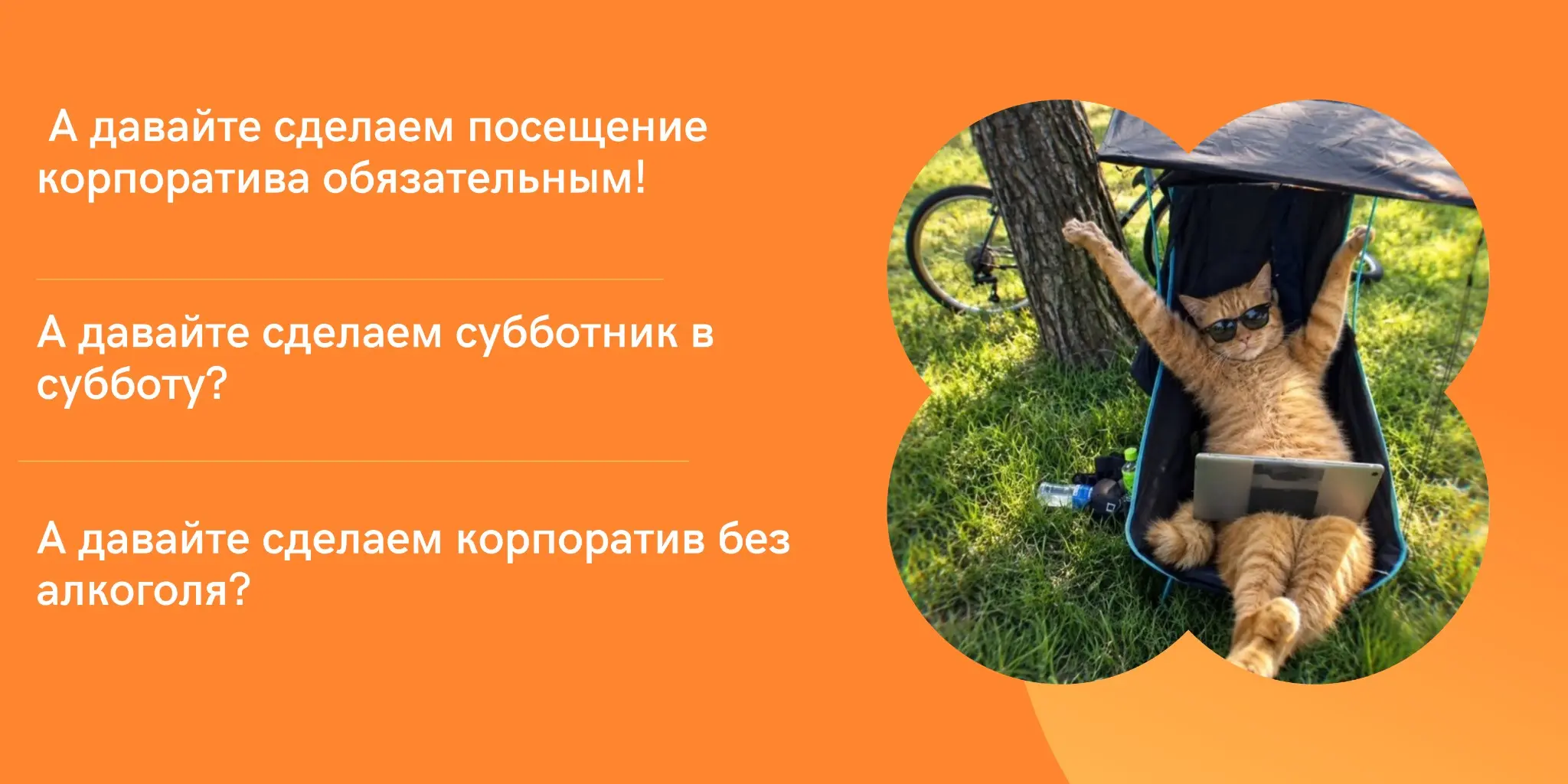 Фразы, которые вы никогда не услышите в нашем HR-отделе | Сетка — социальная сеть от hh.ru