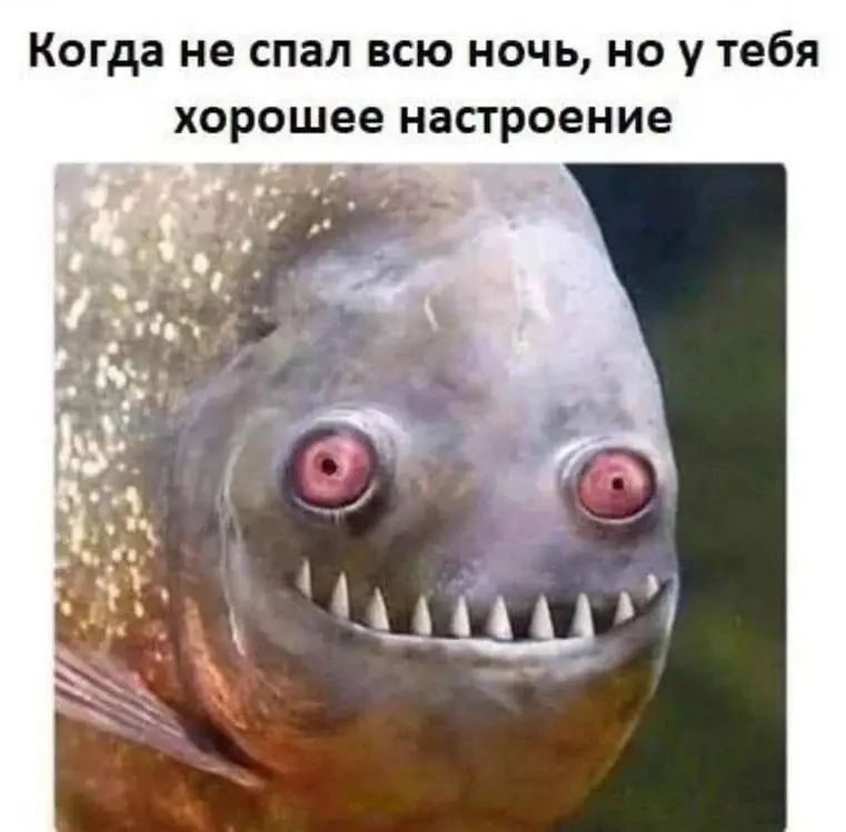 Всем пятничного настроения! | Сетка — социальная сеть от hh.ru