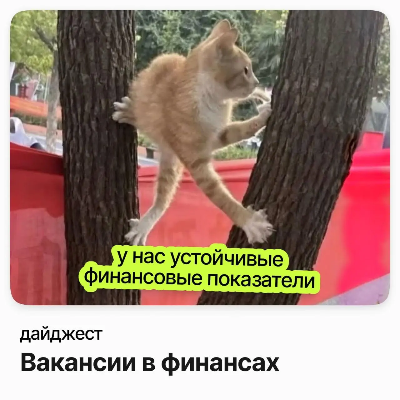 💼💼💼Вакансии в финансах
Ведущий специалист по корпоративному налогообложению / RG Brands
Зарплата: от 305 000 ₽ /на руки
Подробнее
Инвестиционный менеджер / Highland Gold Mining
Зарплата: от 300 000 ₽ ... | Сетка — социальная сеть от hh.ru