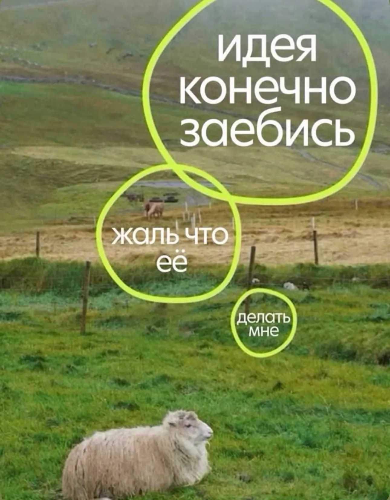 Вот почему на встречах лучше промолчать :) | Сетка — социальная сеть от hh.ru
