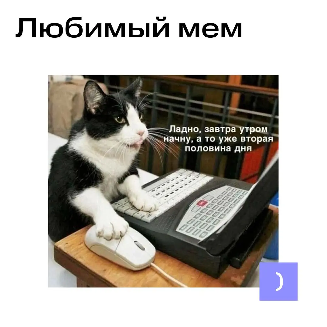 Невероятно, но факт! | Сетка — социальная сеть от hh.ru