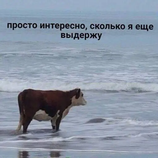 Хочу уволиться и никогда не работать | Сетка — социальная сеть от hh.ru