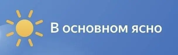 НЕ про pump-and-dump | Сетка — социальная сеть от hh.ru