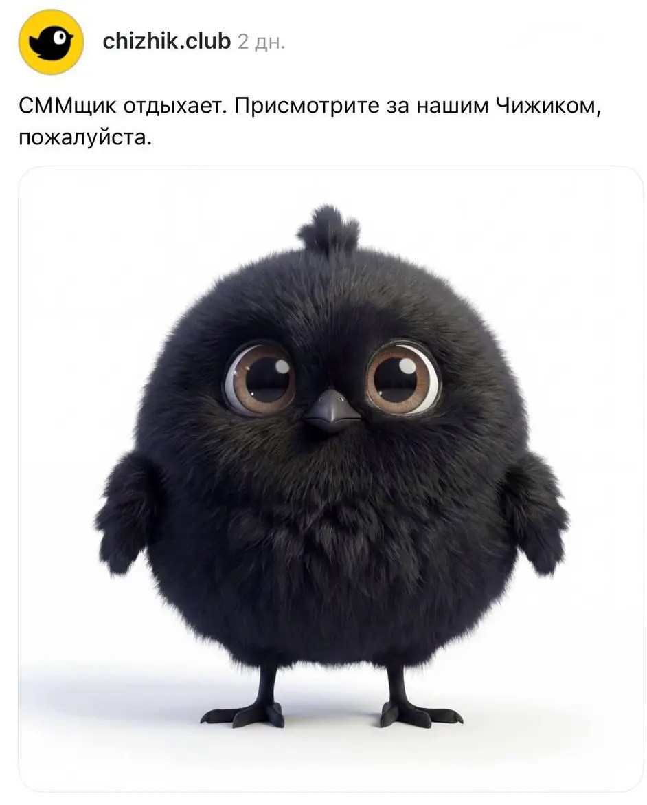 Ну смм-щик Чижика, ну молодец! | Сетка — социальная сеть от hh.ru