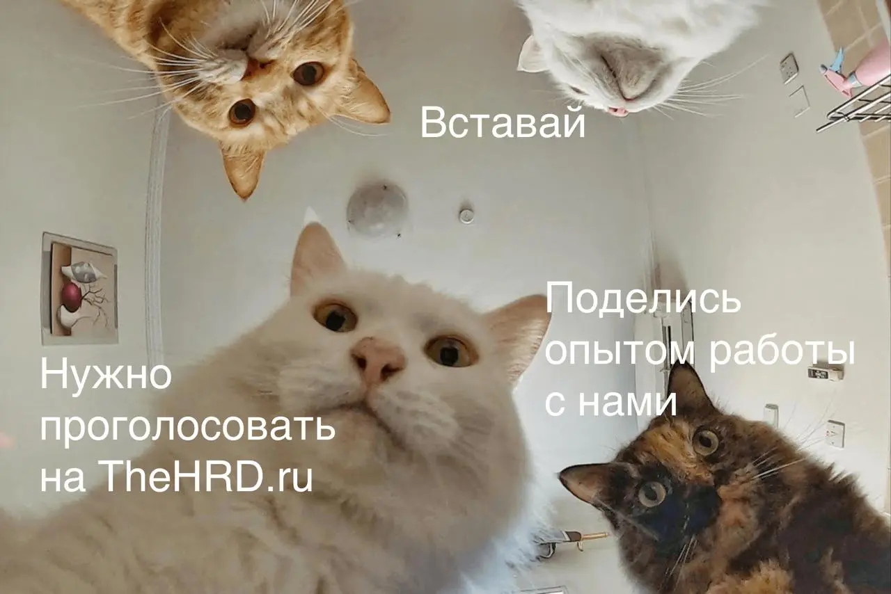 Друзья, на TheHRD.ru продолжается исследование рынка услуг в сфере управления персоналом.
Будем признательны всем нашим партнерам, клиентам и друзьям за участие в нем | Сетка — социальная сеть от hh.ru