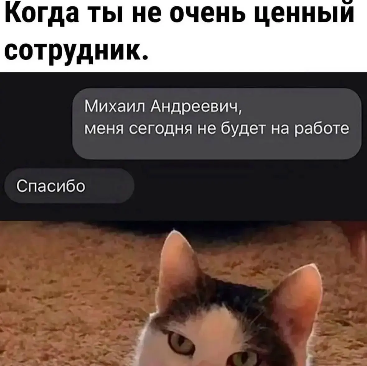 Ценный сотрудник | Сетка — социальная сеть от hh.ru