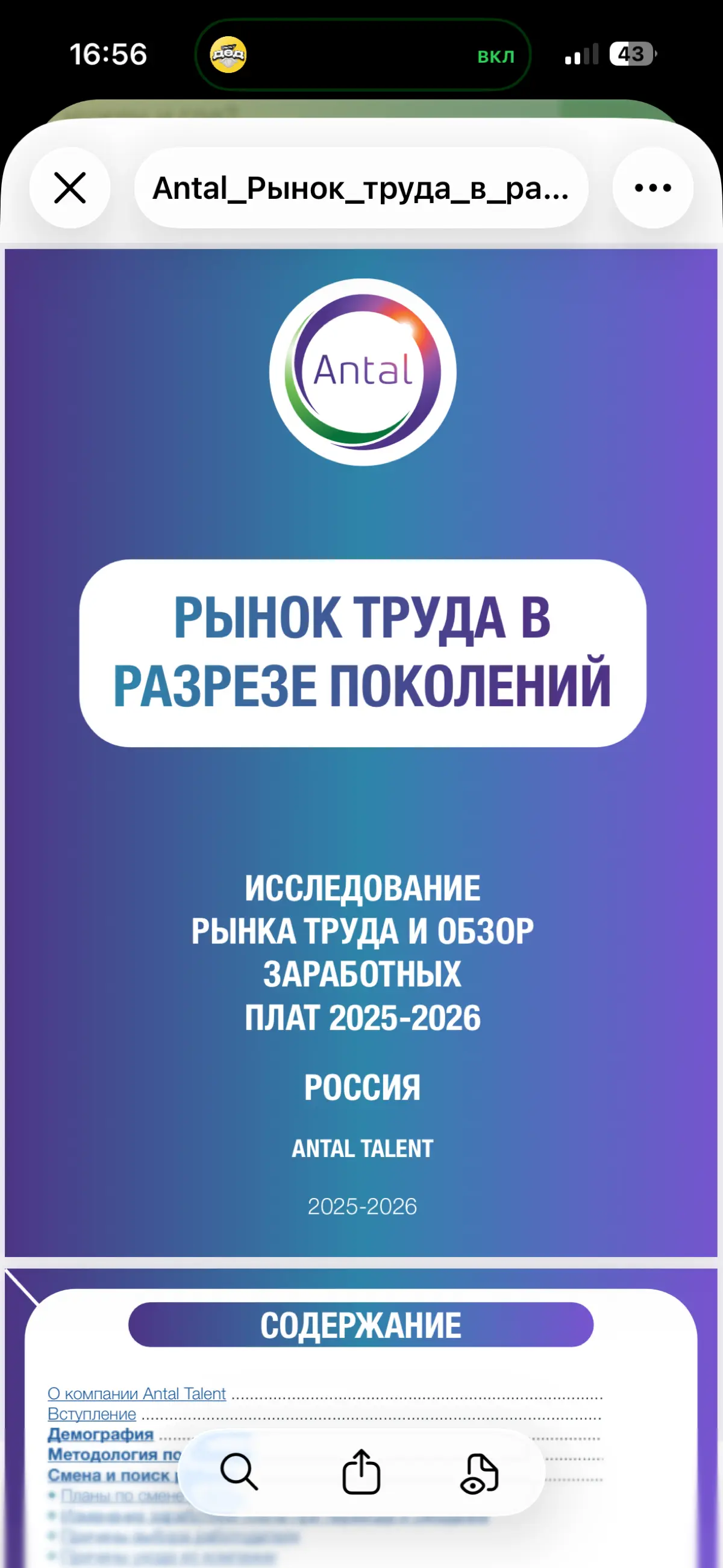 Рынок труда в цифрах | Сетка — социальная сеть от hh.ru