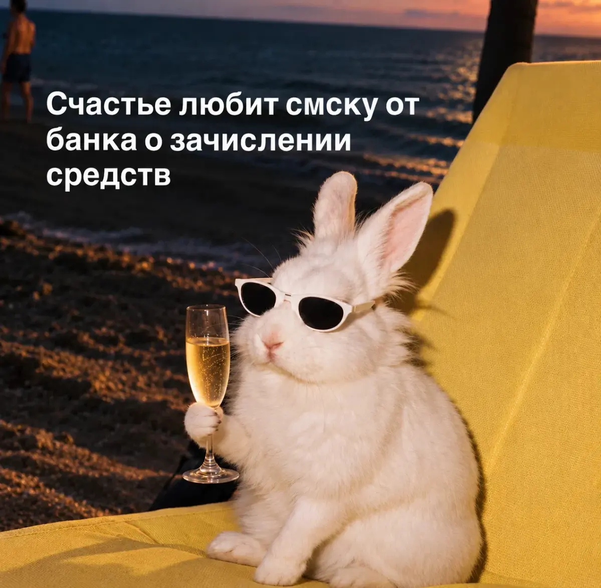 Где все мои просмотры?🥹 | Сетка — социальная сеть от hh.ru