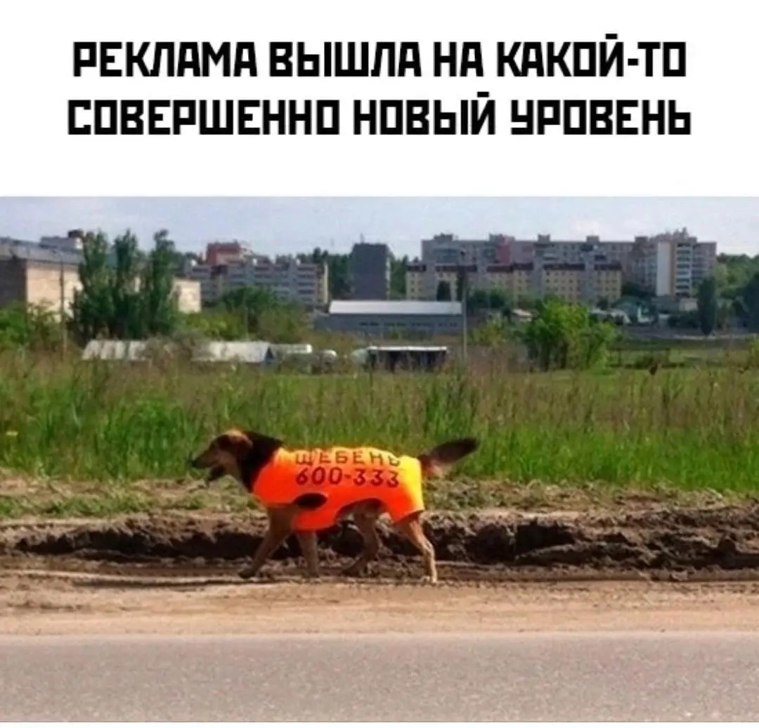 Кто сможет сшить такой жилет для Лаки?
Только надо написать:
Автоматизация бизнеса
@ideamen51
ахахахх | Сетка — социальная сеть от hh.ru