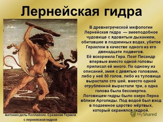 🙄😏🤣 | Сетка — социальная сеть от hh.ru