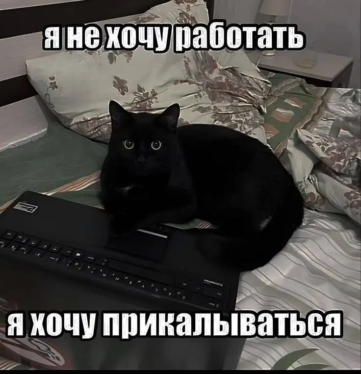 Следующие два дня только этим и занимаемся. Выходные! | Сетка — социальная сеть от hh.ru