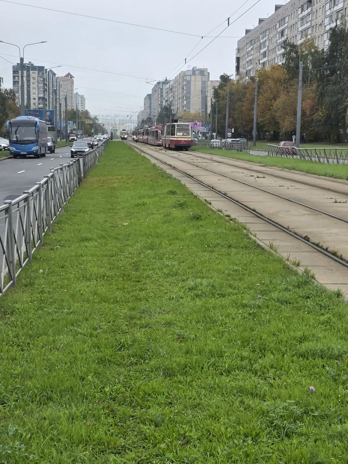 Справка ву003 после лишения прав. ПДД сдал😀 | Сетка — социальная сеть от hh.ru